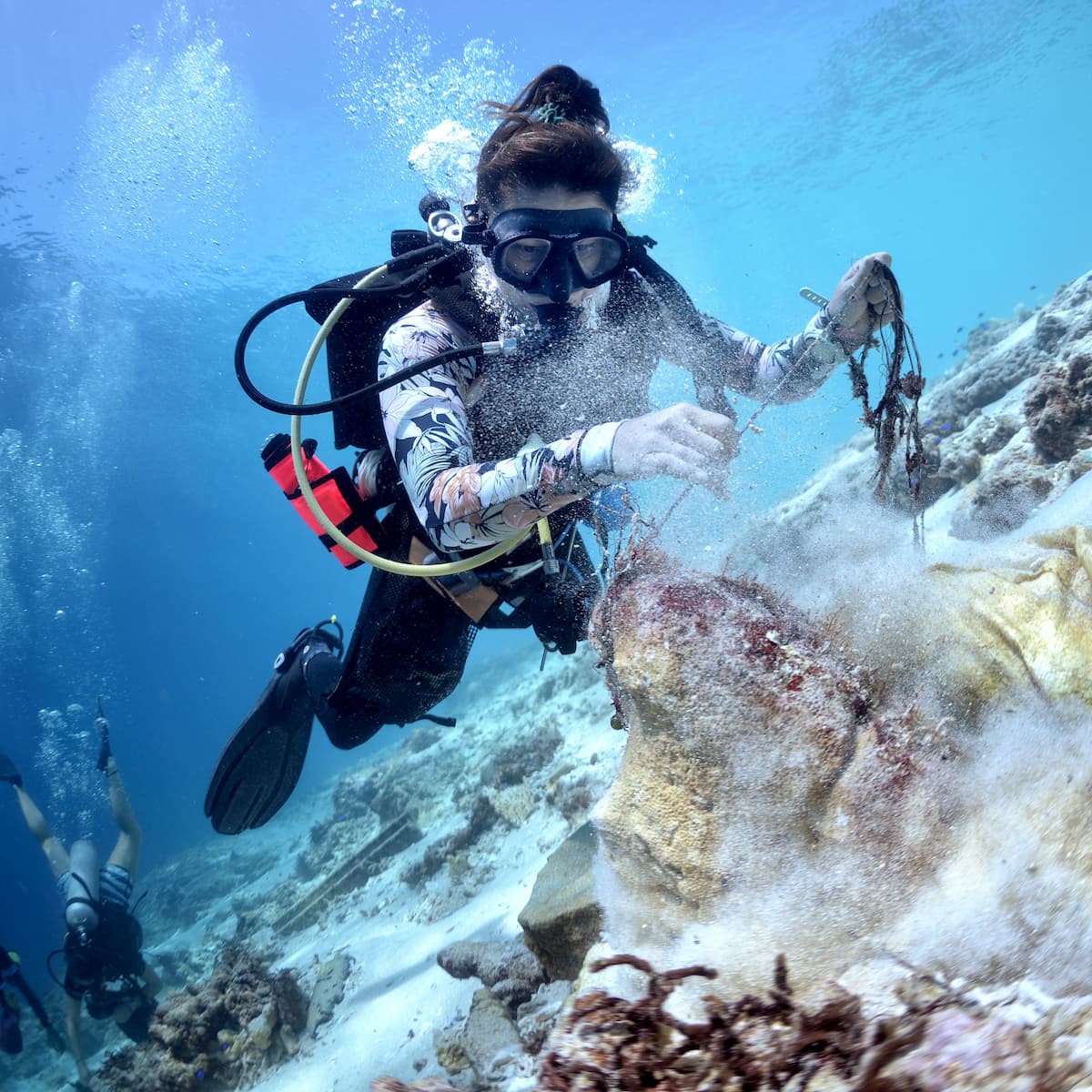 Collecting data on adopted divesites