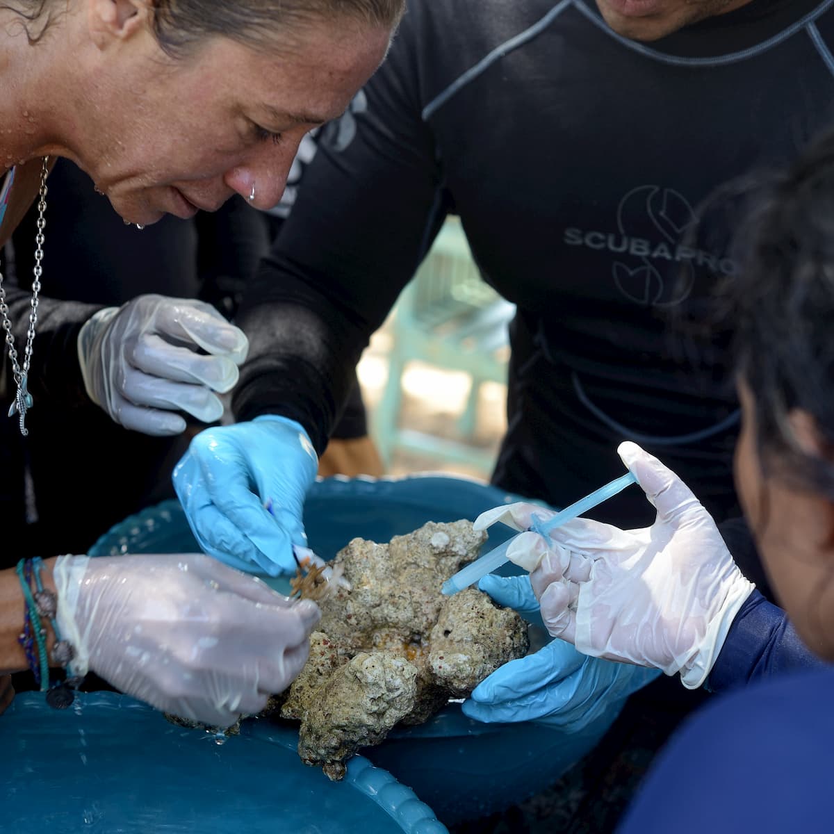 Ocean quest coral propagation course