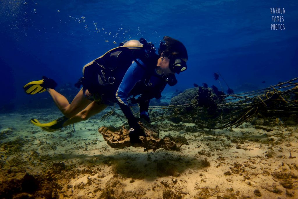 diver collecting live rock