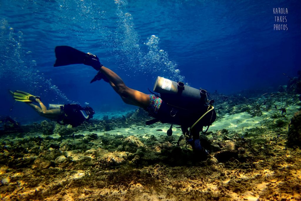 eco-warrior tiding up the nursery and checking on baby corals 