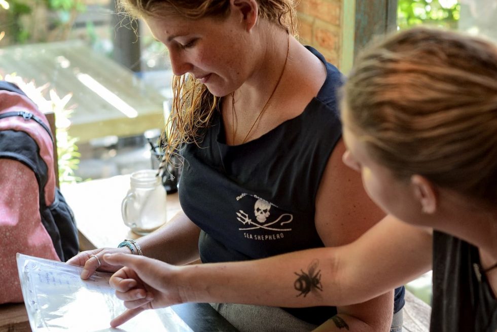 Everything you need to know about PADI Divemaster Crew Pack