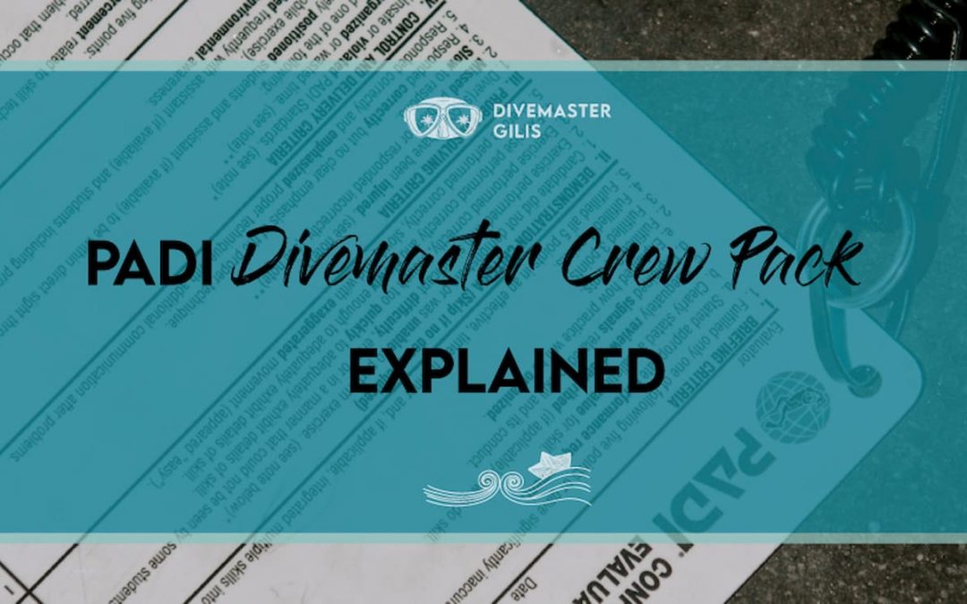 Diving Tips Divemaster Gilis