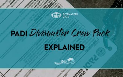 Everything you need to know about PADI Divemaster Crew Pack