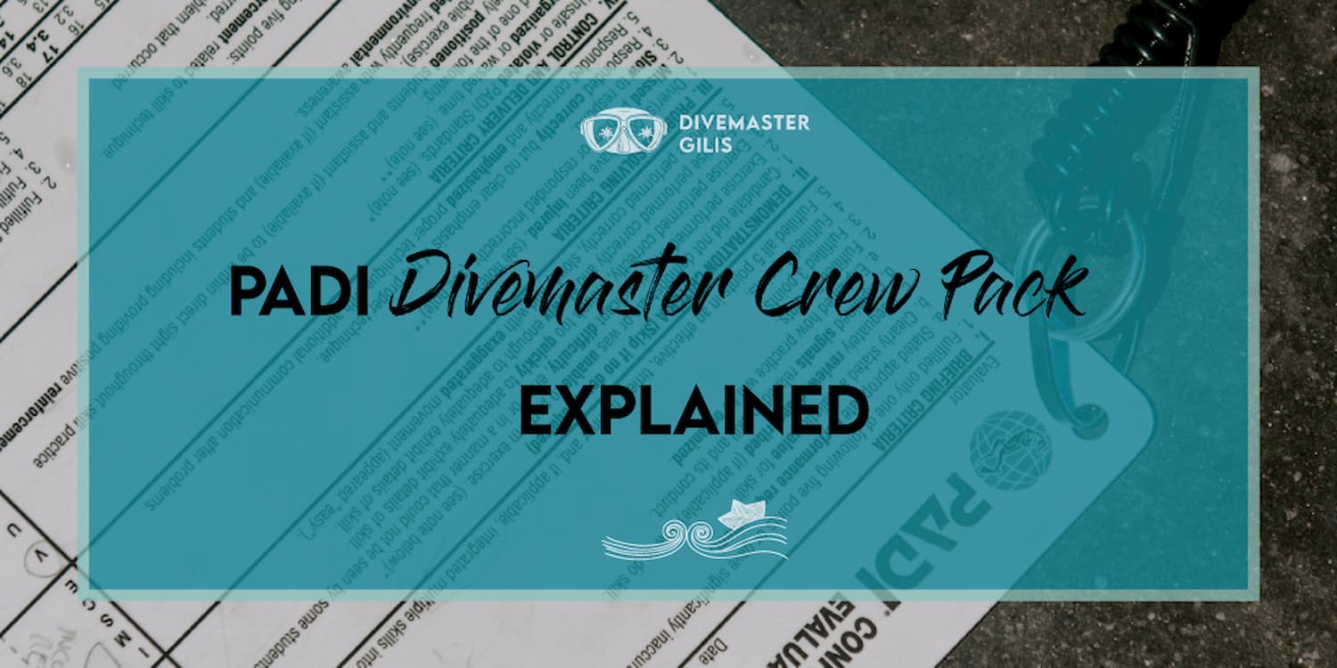 Everything you need to know about PADI Divemaster Crew Pack