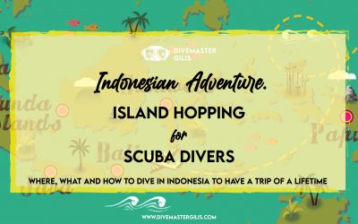 Indonesian island hopping for scuba divers. Guide on where and how to have a dive trip of a lifetime.