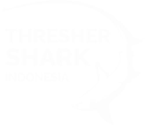 Tresher Shark Indonesia